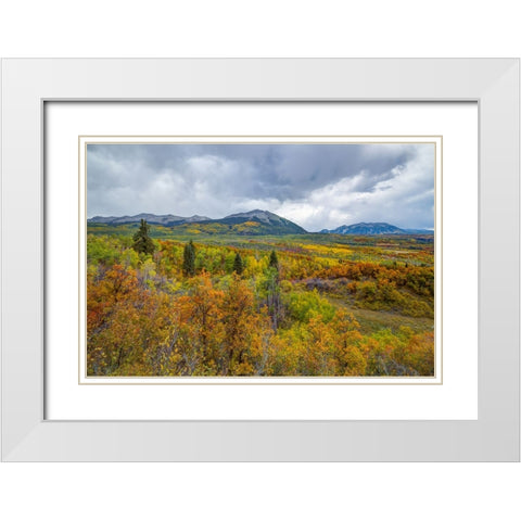 Mountains Of Aspens White Modern Wood Framed Art Print with Double Matting by Sherrell, Bill