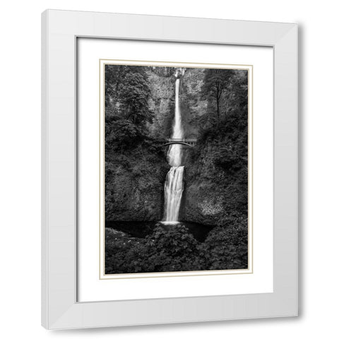 Multnomah Falls 1 White Modern Wood Framed Art Print with Double Matting by Sherrell, Bill