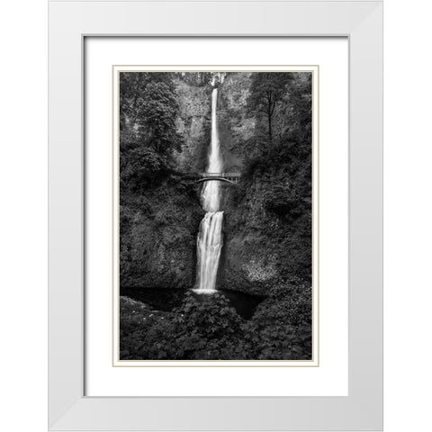 Multnomah Falls 1 White Modern Wood Framed Art Print with Double Matting by Sherrell, Bill