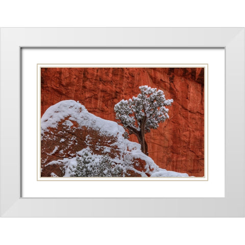 Perch White Modern Wood Framed Art Print with Double Matting by Sherrell, Bill