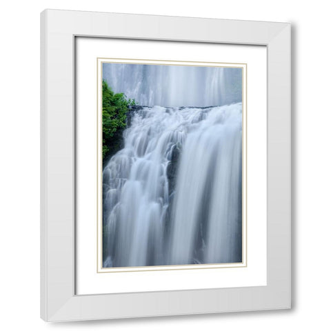 Shower Curtains White Modern Wood Framed Art Print with Double Matting by Sherrell, Bill
