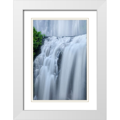 Shower Curtains White Modern Wood Framed Art Print with Double Matting by Sherrell, Bill