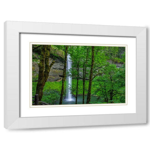 Silver Falls-Oregon 2 White Modern Wood Framed Art Print with Double Matting by Sherrell, Bill