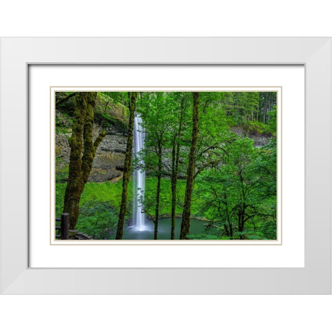 Silver Falls-Oregon 2 White Modern Wood Framed Art Print with Double Matting by Sherrell, Bill