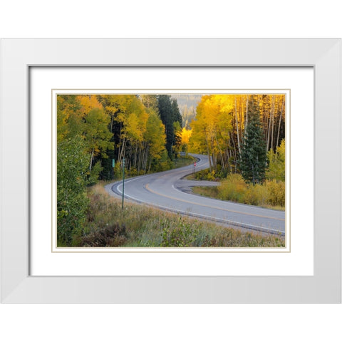 The Golden Highway White Modern Wood Framed Art Print with Double Matting by Sherrell, Bill