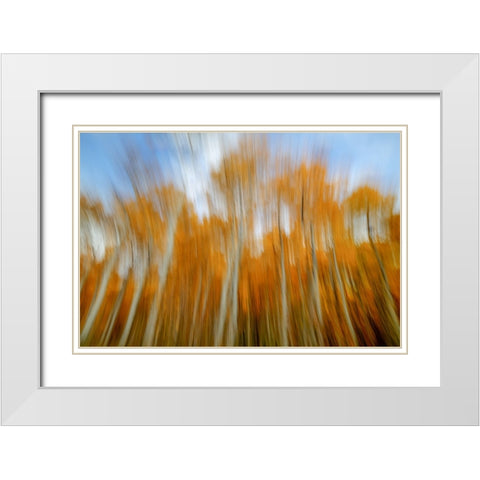 The Spirit Of Autumn White Modern Wood Framed Art Print with Double Matting by Sherrell, Bill