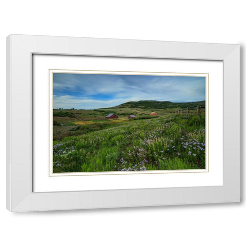 Wildflowers At The True Grit Ranch 1 White Modern Wood Framed Art Print with Double Matting by Sherrell, Bill