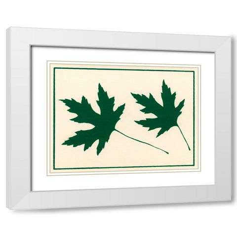 Ca137 White Modern Wood Framed Art Print with Double Matting by Crockett Collection