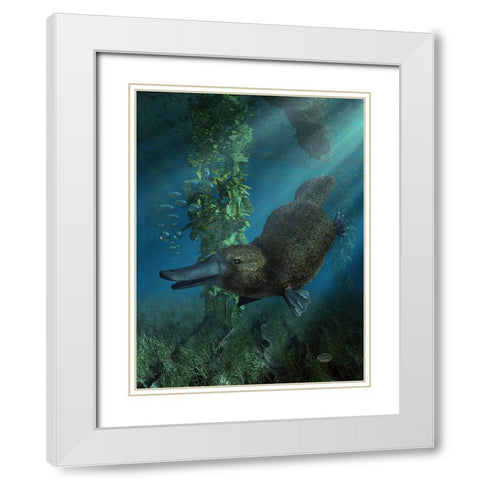 Platypus White Modern Wood Framed Art Print with Double Matting by Eskridge, Daniel