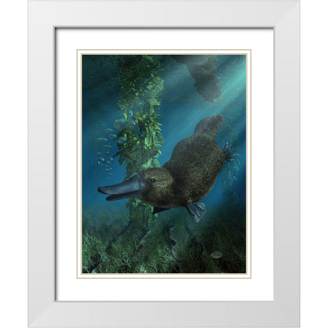 Platypus White Modern Wood Framed Art Print with Double Matting by Eskridge, Daniel