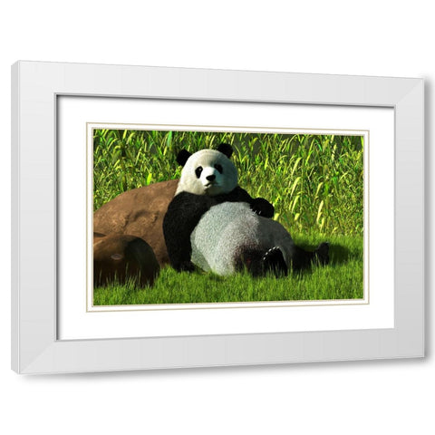 Reclining Panda White Modern Wood Framed Art Print with Double Matting by Eskridge, Daniel