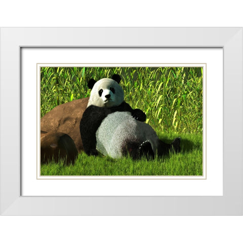Reclining Panda White Modern Wood Framed Art Print with Double Matting by Eskridge, Daniel