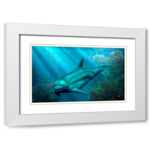 Smiling Dolphin White Modern Wood Framed Art Print with Double Matting by Eskridge, Daniel