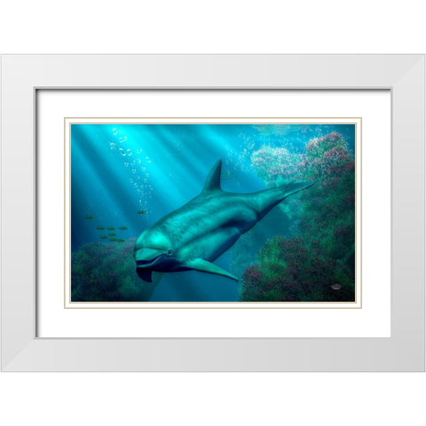 Smiling Dolphin White Modern Wood Framed Art Print with Double Matting by Eskridge, Daniel
