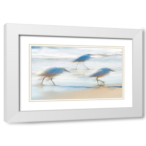 Pipers on a beach A White Modern Wood Framed Art Print with Double Matting by Manlove, David