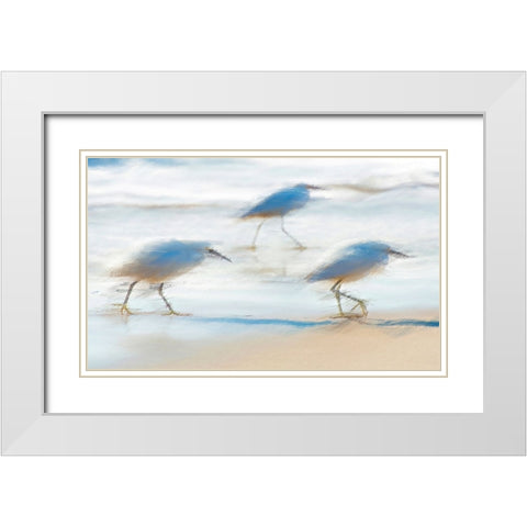 Pipers on a beach A White Modern Wood Framed Art Print with Double Matting by Manlove, David