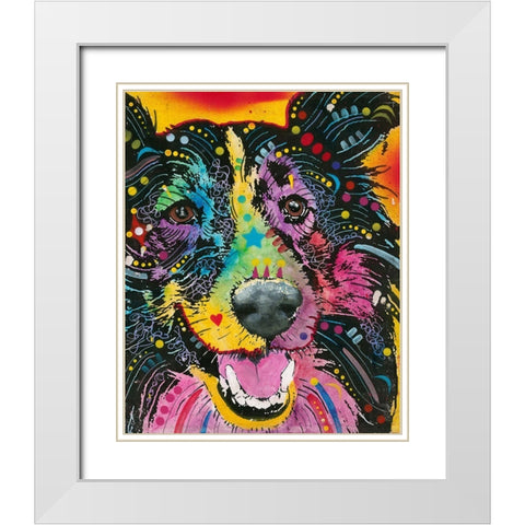 Smiling Collie  White Modern Wood Framed Art Print with Double Matting by Dean Russo Collection