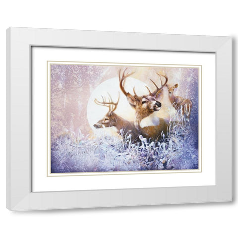 Snow Moon White Modern Wood Framed Art Print with Double Matting by Lund, Denton