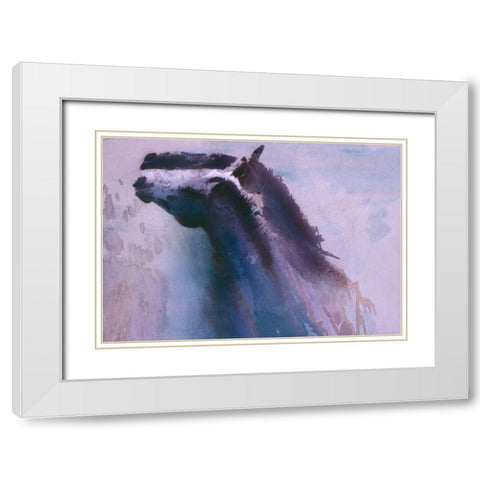 Shadows White Modern Wood Framed Art Print with Double Matting by Lund, Denton