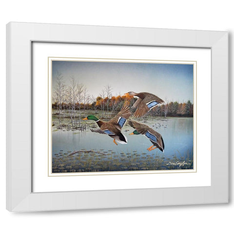 Landing Zone White Modern Wood Framed Art Print with Double Matting by Engler, Don