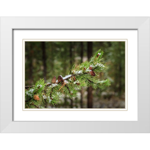 First Snowfall YNP White Modern Wood Framed Art Print with Double Matting by Galloimages Online