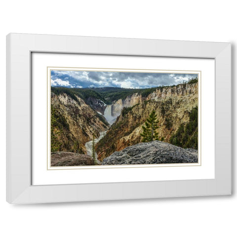 Lower Falls YNP Grand Canyon White Modern Wood Framed Art Print with Double Matting by Galloimages Online