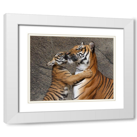 A Kiss For Mom White Modern Wood Framed Art Print with Double Matting by Galloimages Online