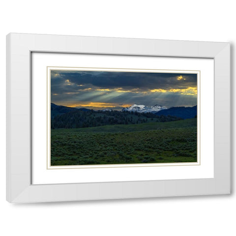 Lamar Valley Sunrise White Modern Wood Framed Art Print with Double Matting by Galloimages Online