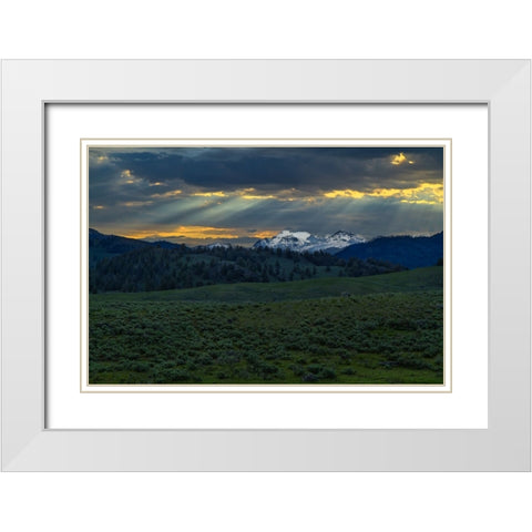 Lamar Valley Sunrise White Modern Wood Framed Art Print with Double Matting by Galloimages Online