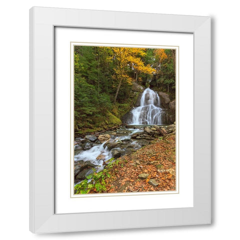 Moss Glen Falls in VT White Modern Wood Framed Art Print with Double Matting by Galloimages Online