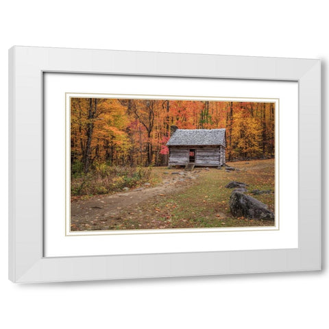 Alex Cole Cabin White Modern Wood Framed Art Print with Double Matting by Galloimages Online