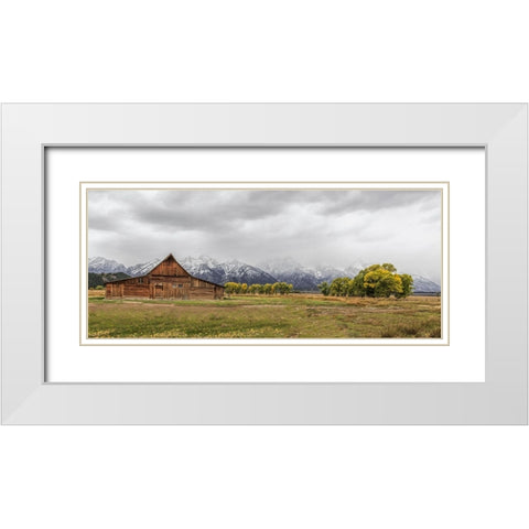 Almost Peak White Modern Wood Framed Art Print with Double Matting by Galloimages Online