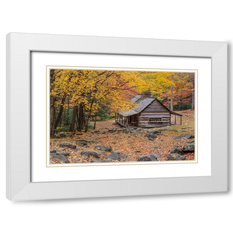 Bud Ogle Cabin White Modern Wood Framed Art Print with Double Matting by Galloimages Online