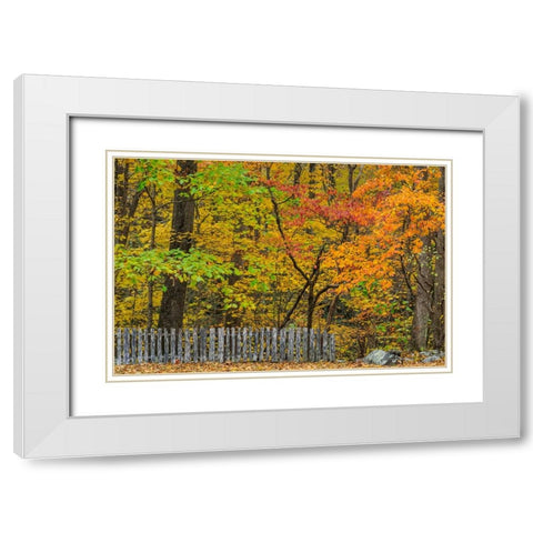 Fall Fence Scene White Modern Wood Framed Art Print with Double Matting by Galloimages Online