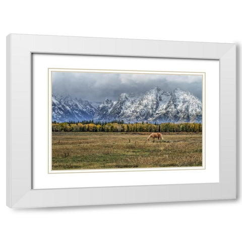 Fine Dining In The Tetons White Modern Wood Framed Art Print with Double Matting by Galloimages Online