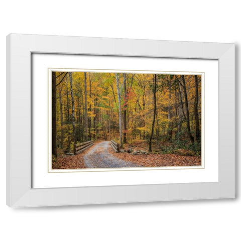 Greenbrier Bridge Path White Modern Wood Framed Art Print with Double Matting by Galloimages Online