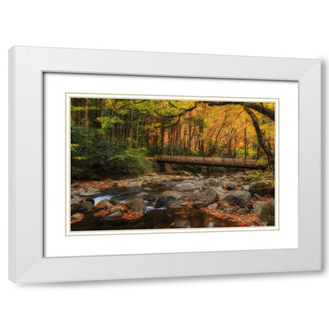 Greenbrier Bridge With Stream Watercolor White Modern Wood Framed Art Print with Double Matting by Galloimages Online