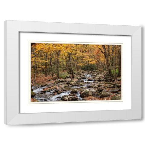 Greenbrier Cascade White Modern Wood Framed Art Print with Double Matting by Galloimages Online