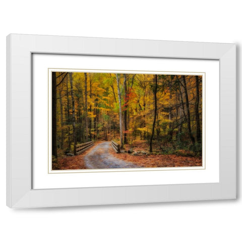 Greenbrier Path White Modern Wood Framed Art Print with Double Matting by Galloimages Online