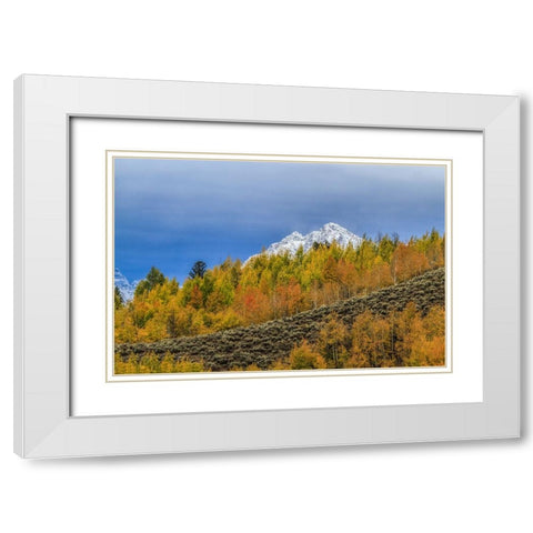 Mountain Fall Color White Modern Wood Framed Art Print with Double Matting by Galloimages Online
