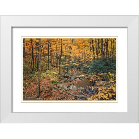 Roaring Fork Stream White Modern Wood Framed Art Print with Double Matting by Galloimages Online
