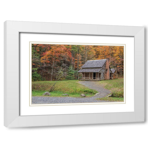 Smokies Cabin 2 (Hw) White Modern Wood Framed Art Print with Double Matting by Galloimages Online