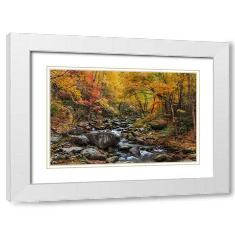 Tremont Stream Watercolor White Modern Wood Framed Art Print with Double Matting by Galloimages Online