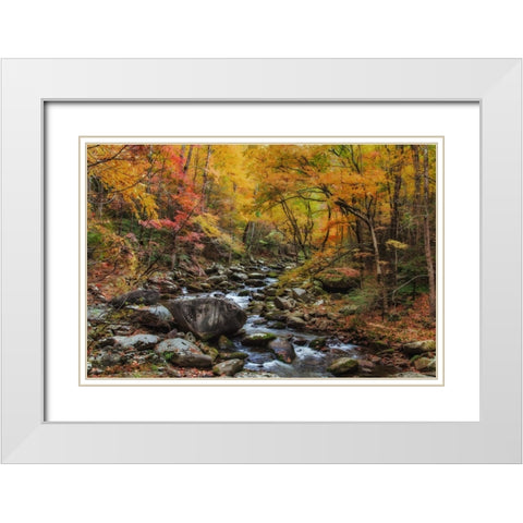 Tremont Stream Watercolor White Modern Wood Framed Art Print with Double Matting by Galloimages Online
