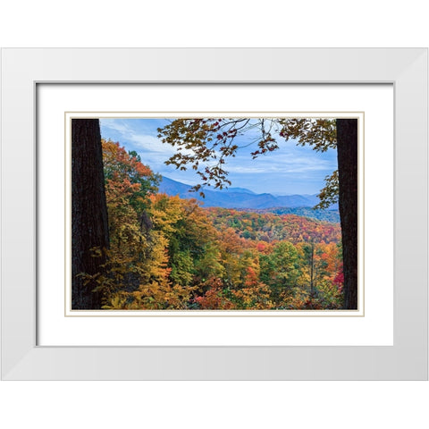 Window To The Smoky Mountains White Modern Wood Framed Art Print with Double Matting by Galloimages Online