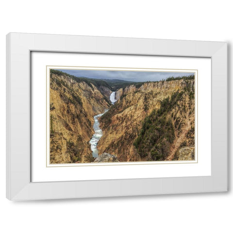 Yellowstone Grand Canyon - Lower Falls White Modern Wood Framed Art Print with Double Matting by Galloimages Online