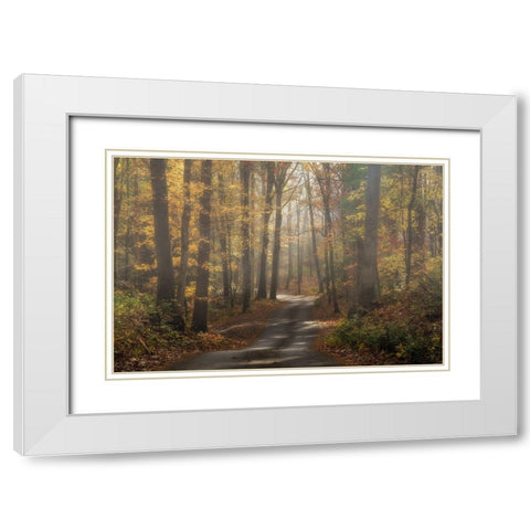Foggy Forest White Modern Wood Framed Art Print with Double Matting by Galloimages Online