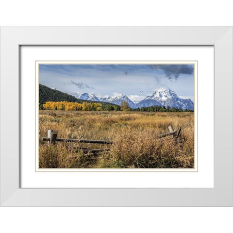 GTNP Scene Mt. Moran White Modern Wood Framed Art Print with Double Matting by Galloimages Online
