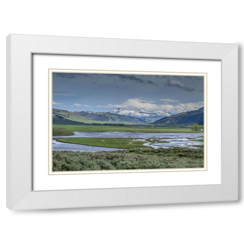 Lamar Valley (YNP) White Modern Wood Framed Art Print with Double Matting by Galloimages Online