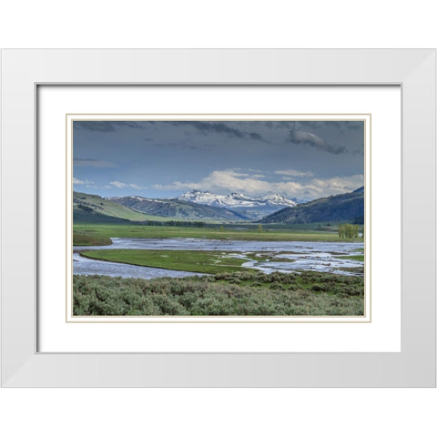 Lamar Valley (YNP) White Modern Wood Framed Art Print with Double Matting by Galloimages Online